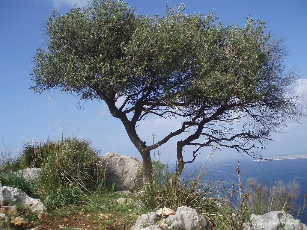 Baia Cofano Home Custonaci Italy